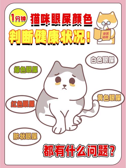 猫咪眼屎的秘密，日常护理与健康观察