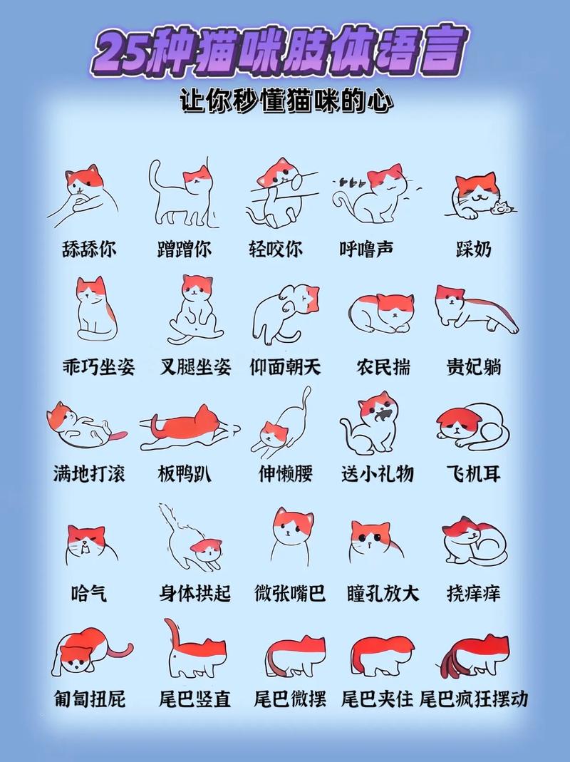 猫咪尿液颜色深？了解背后可能的健康问题