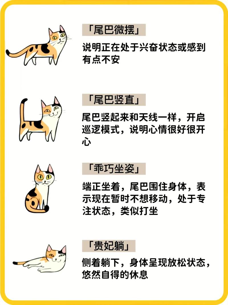 揭秘猫的内心世界