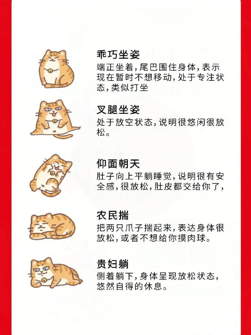 猫咪的晨曲，幼年猫咪清晨的叫声与它们的情感表达