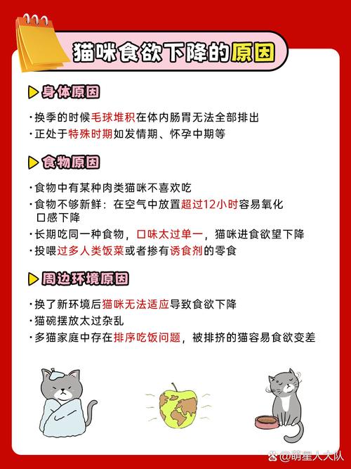 猫咪突然食欲不振？了解饮食变化背后的秘密