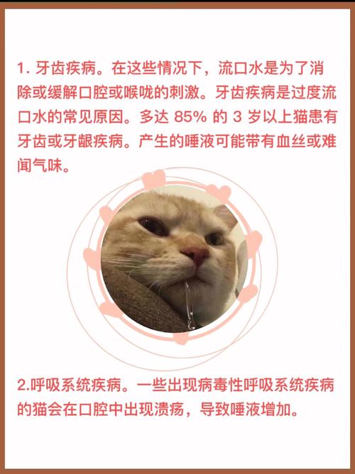 揭秘猫咪为何迷恋唾沫的秘密