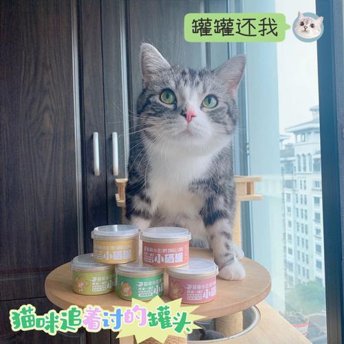 猫咪的粮食革命，如何让新粮成为它们的新宠