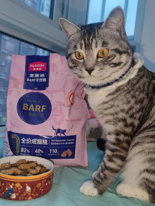 猫咪会说话？巧克力的秘密