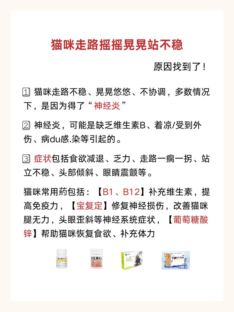 猫咪为何站不起来？——探索原因与应对之道