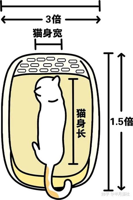 猫咪总是乱拉尿？教你如何解决猫厕所问题