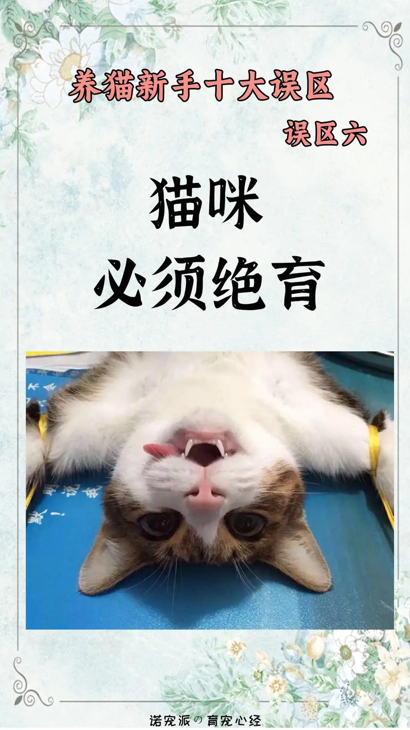 猫咪绝育，为毛如此重要