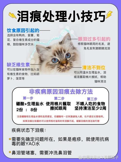 猫咪泪痕淡化的妙招与秘籍