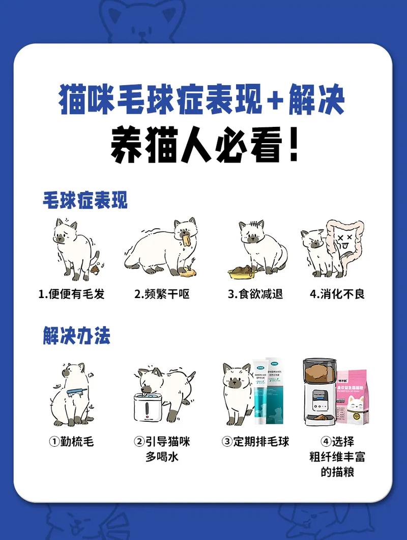 猫咪毛色的秘密——不只是一种毛发