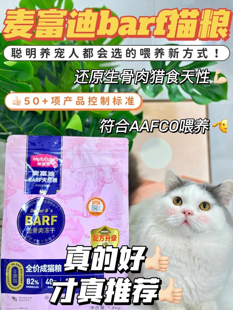 猫咪的顽固挑战，如何应对药物呕吐