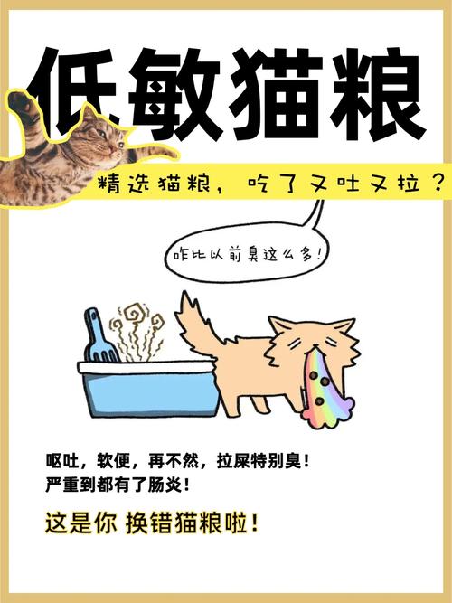 猫咪为何会呕吐和腹泻？