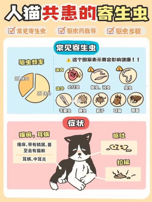 猫咪吐寄生虫，如何保护你的毛茸伙伴免受体内寄生虫的侵扰