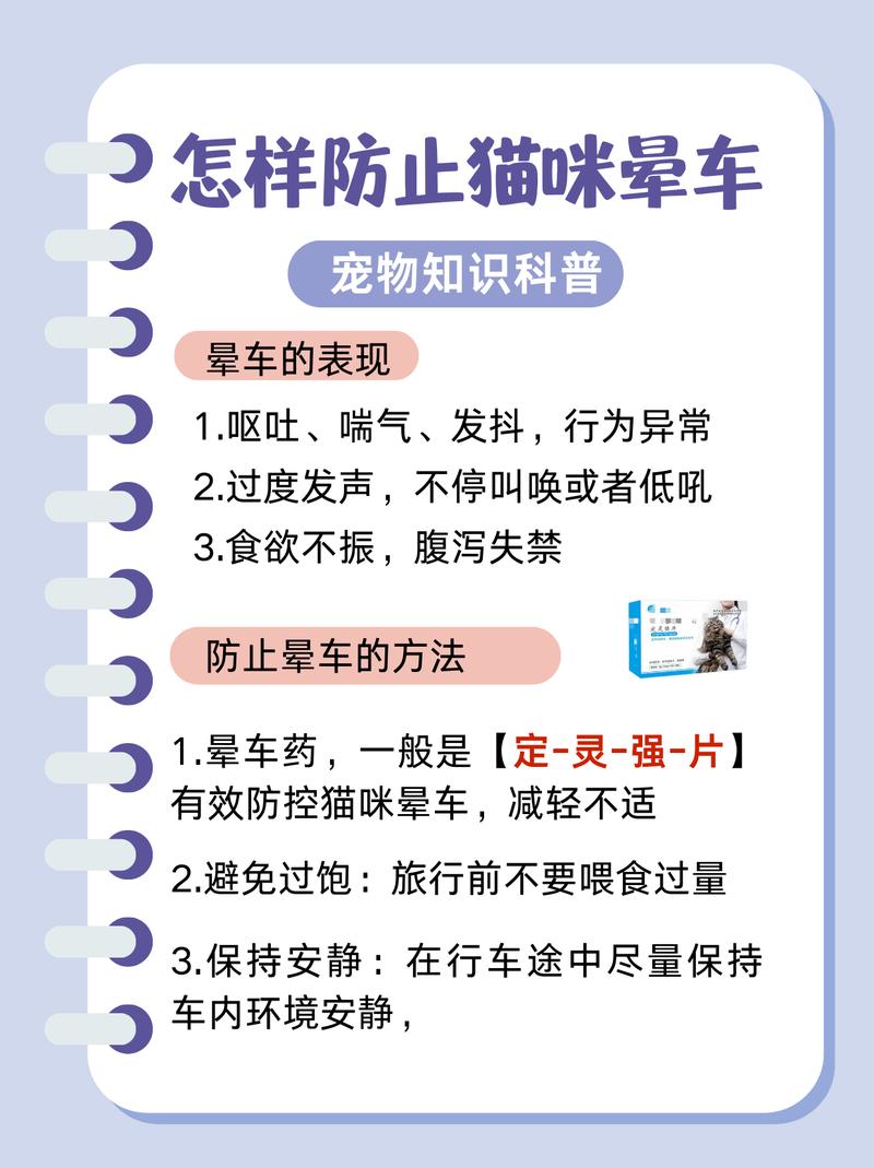 猫咪晕车了？解决猫咪晕车问题的实用指南