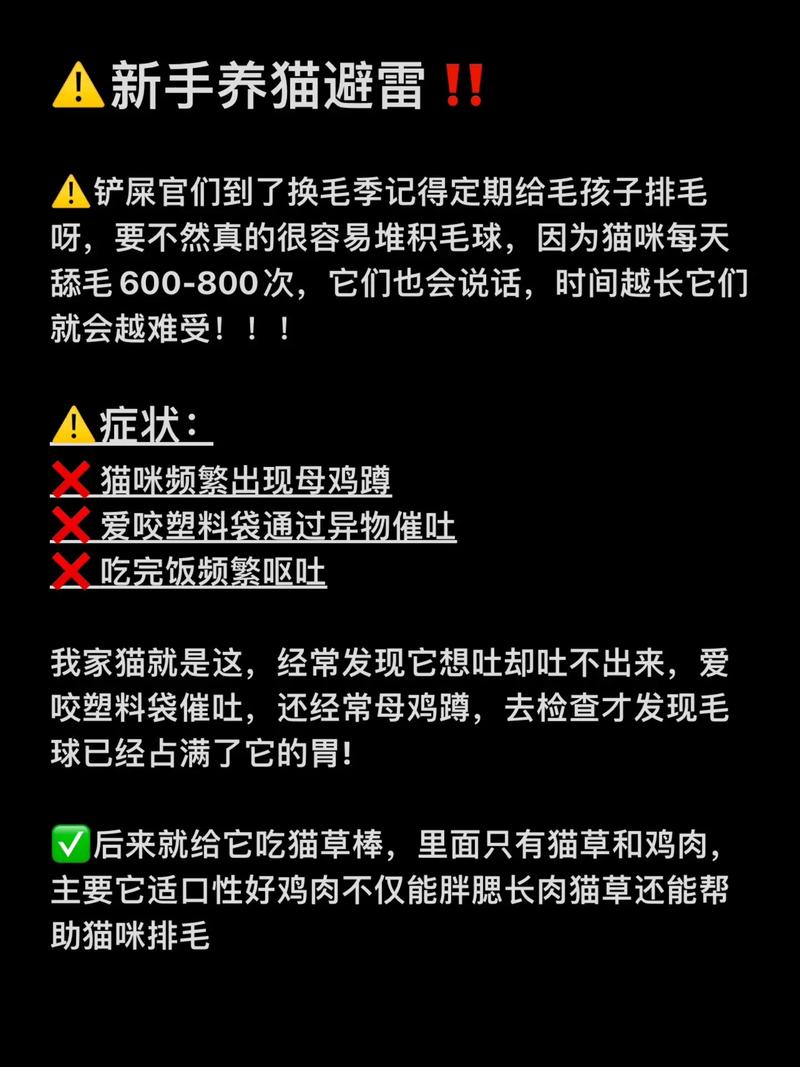 神秘的黑色呕吐——猫咪健康的警钟