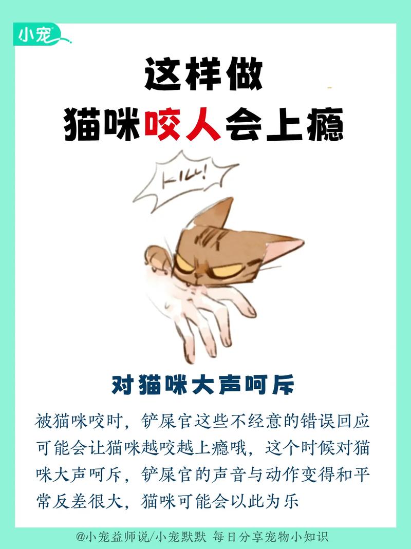 猫咪的咬意何在？