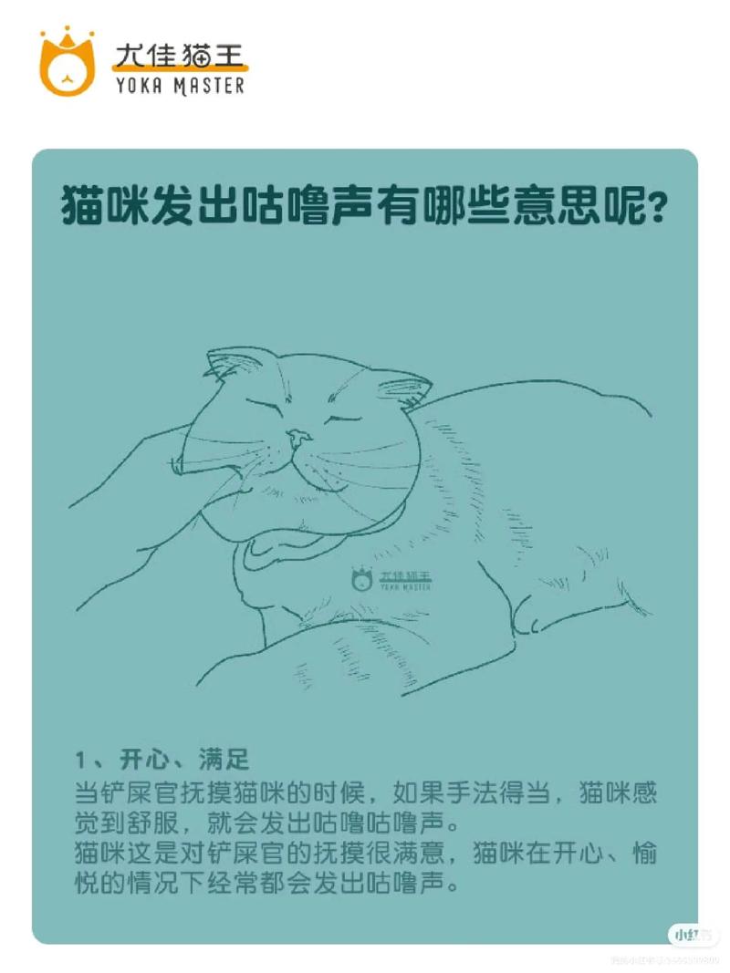 猫咪呼噜呼噜叫的秘密——解析猫咪呼噜背后的温馨秘密