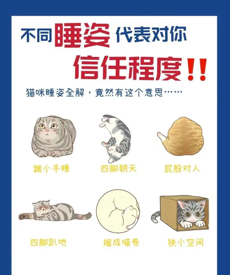 猫咪睡觉时的秘密习惯