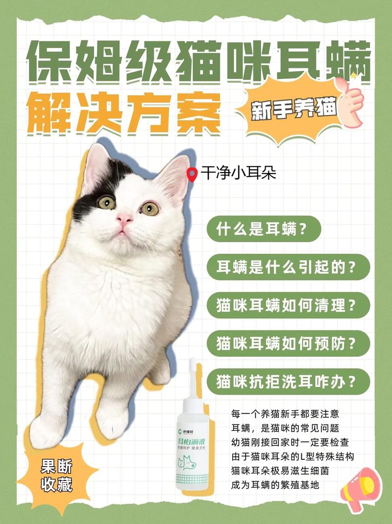 轻松掌握，猫咪耳朵的清洁小技巧