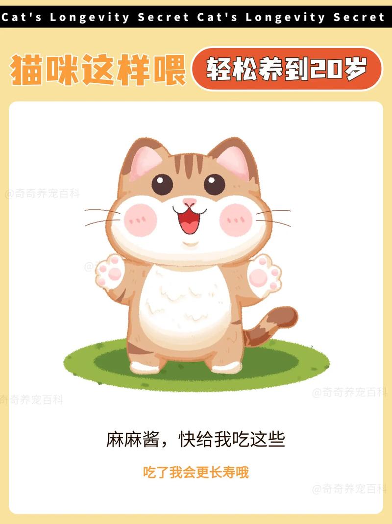 猫咪每日食量指南，科学喂养，守护毛孩子健康成长