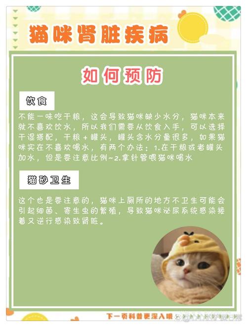 猫咪结石，预防与治疗全攻略