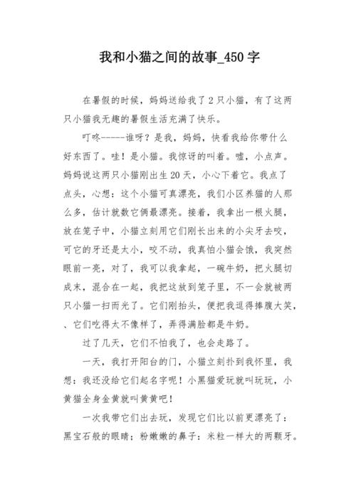 捡来的温馨与成长，一段与小猫咪的温暖故事