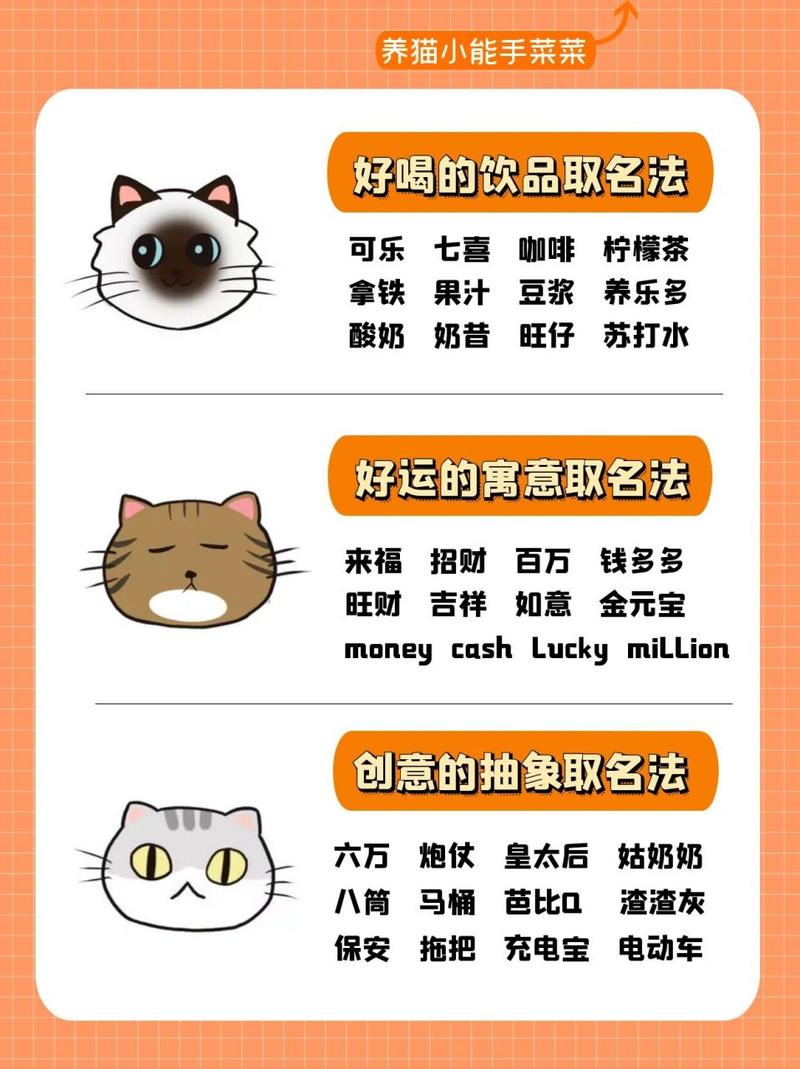 为小猫咪取名，英文名字的灵感与魅力