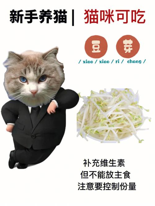 猫咪的美食菜单，哪些蔬菜是它们喜欢的？