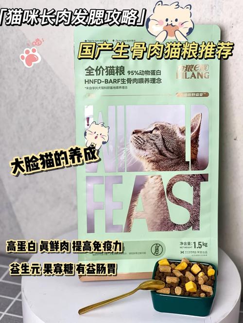 猫咪怎么吃才能长肉？