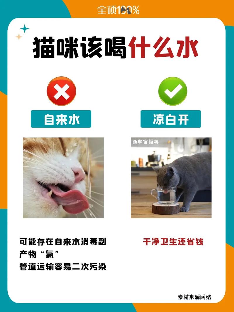 猫咪拉水？你该知道的紧急处理方法