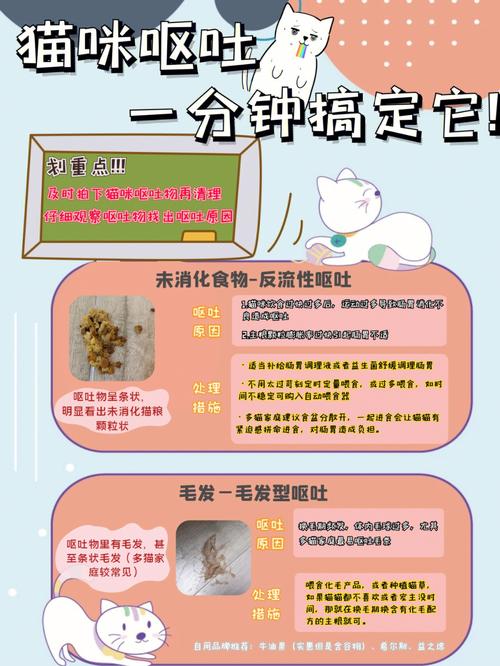 猫咪健康警报，呕吐黄水与白沫的隐忧