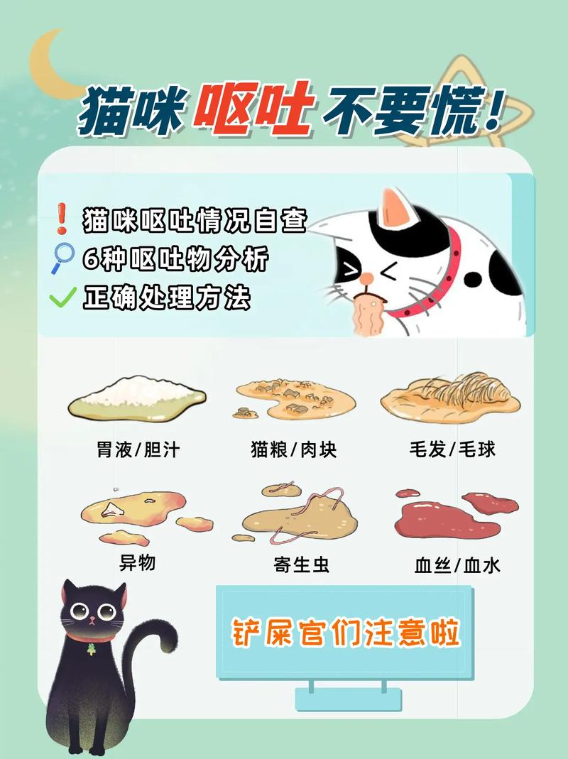 猫咪呕吐，如何处理猫粮引起的不适