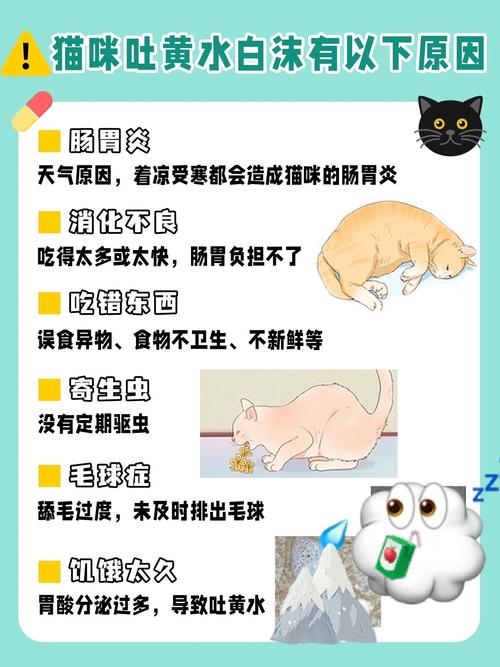 猫咪频繁呕吐，了解可能的原因和应对措施