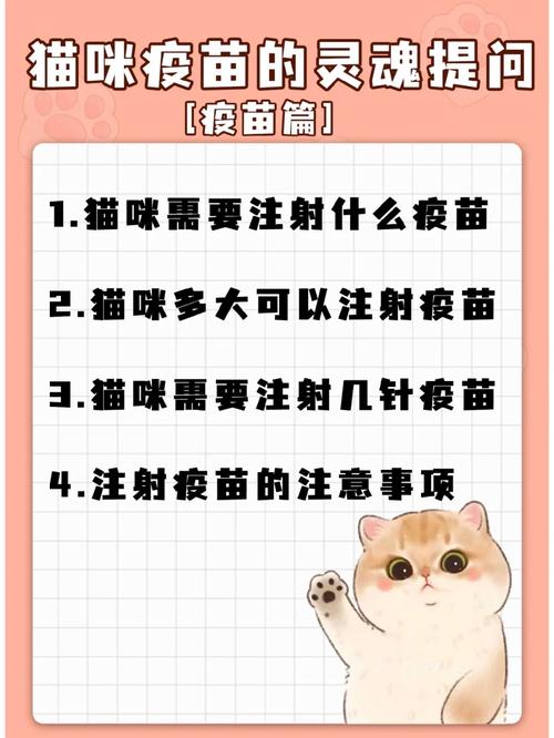 猫咪疫苗副作用的真相，预防与保护之间的平衡