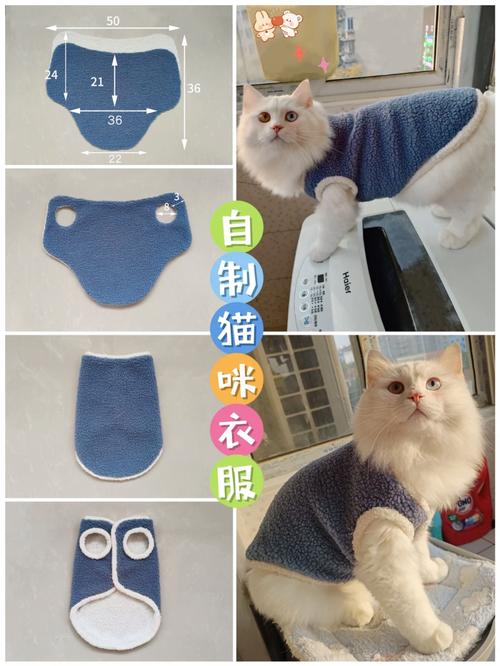 自制猫咪玩具DIY指南