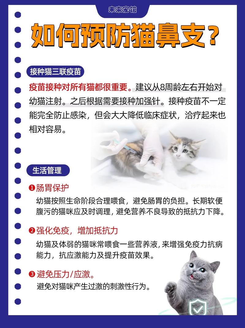 猫咪鼻塞，了解症状与应对之道