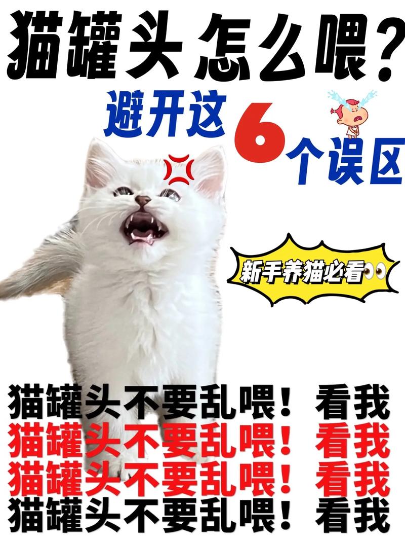 猫咪真的需要洁尔阴吗？——猫咪健康护理误区解析