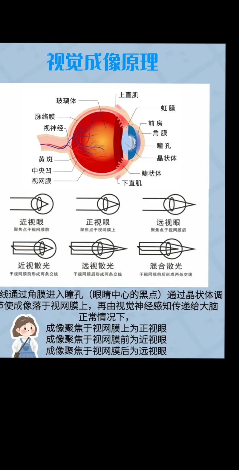 守护瞳孔之光，揭秘猫咪角膜坏死