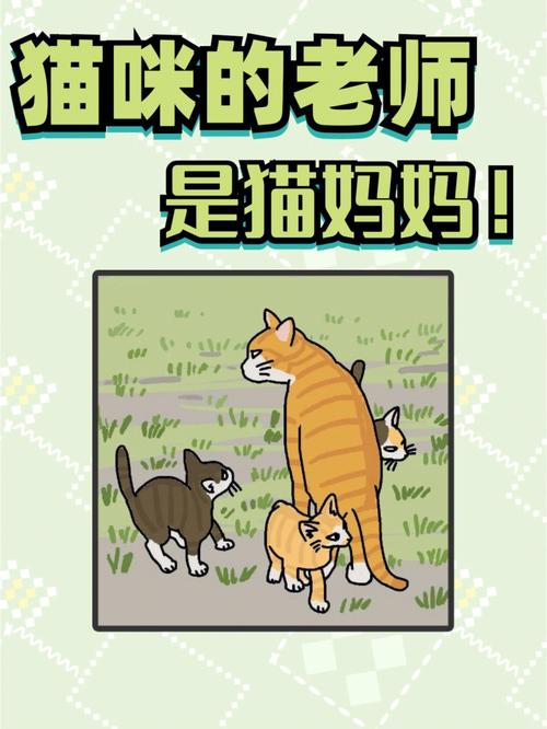 为何我的猫咪总是拒绝被抱？探索猫儿的内心世界