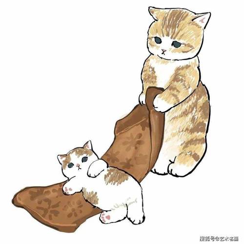 猫咪情感的细腻画卷