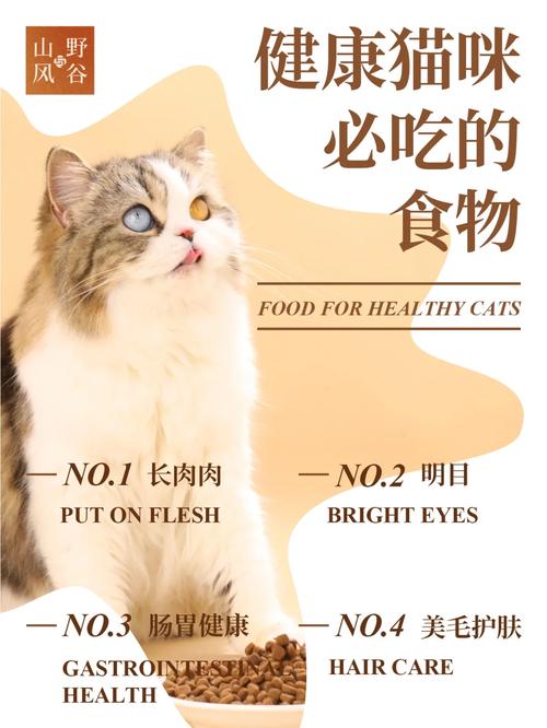 科学喂养猫咪，生肉的营养与挑战