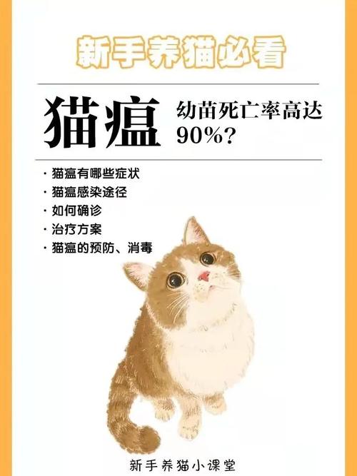 猫咪隔离指南，轻松应对猫瘟与疾病