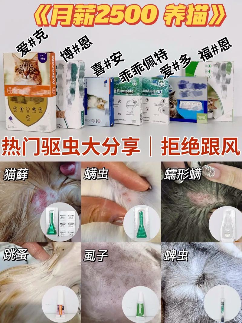 猫咪感染蛔虫，预防与治疗的必要知识