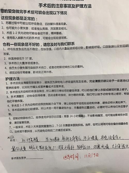 猫咪绝育后的行为变化与咬人现象解析