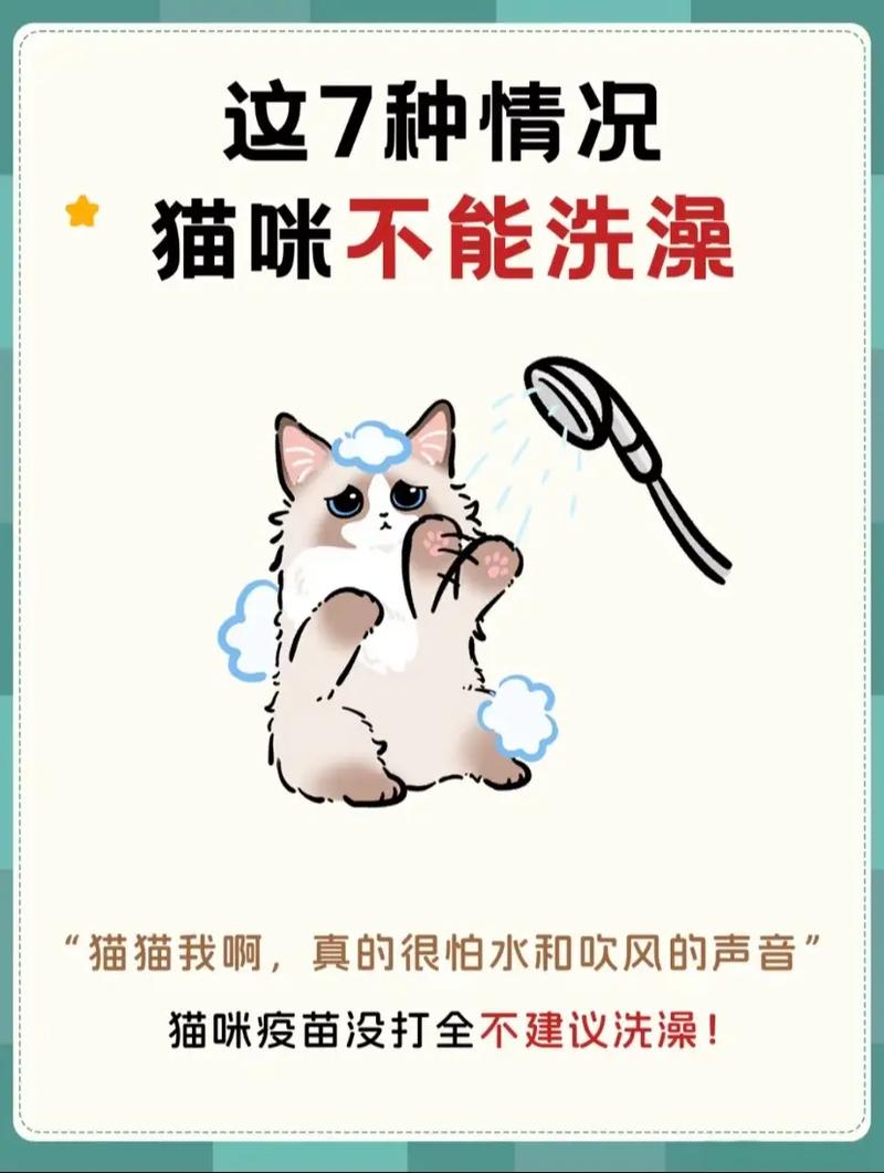 猫咪洗澡后的不速之客——呕吐