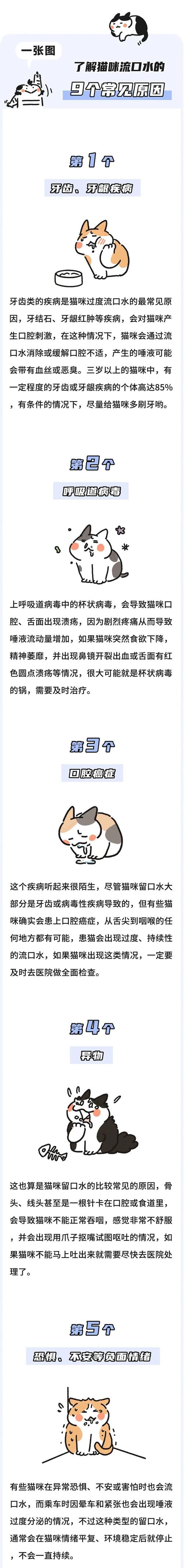 猫咪为何紧张时流口水？揭秘猫咪情绪波动的秘密