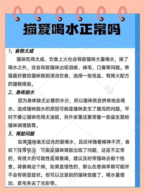 猫咪突然爱喝水？背后的健康警示