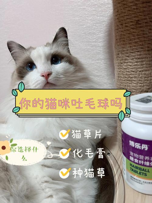 揭秘猫咪的秘密，如何优雅地处理毛球