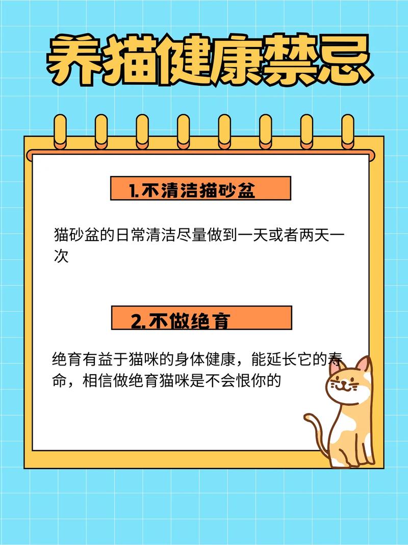 猫咪健康守则，有效预防猫咪结石