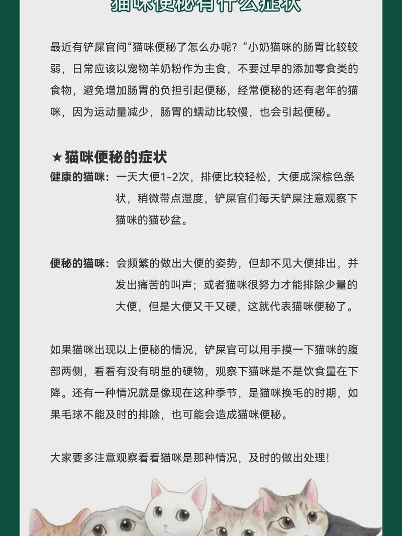 如何让猫咪轻松应对便秘，详解开塞露使用方法