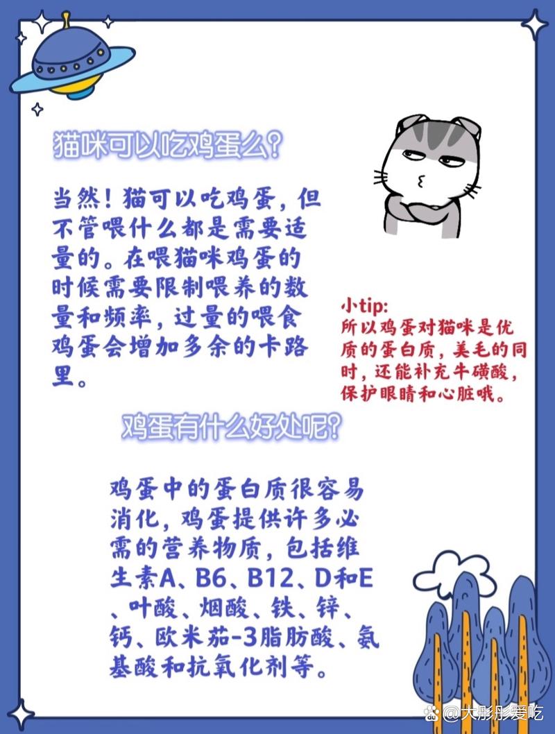 猫咪可以享用鸡蛋吗？